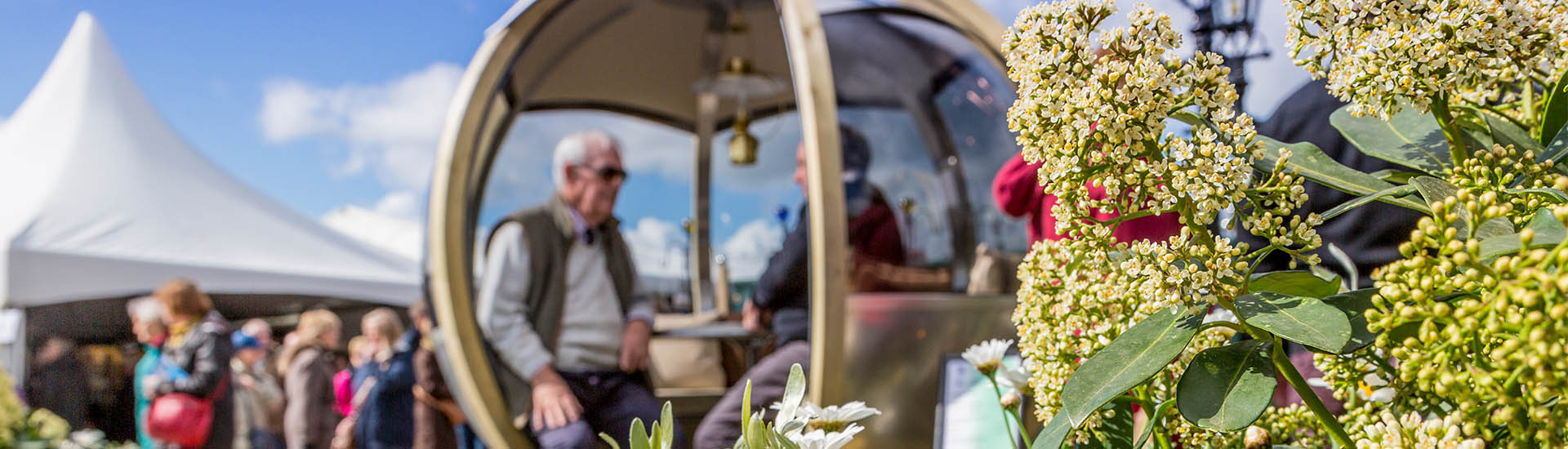 Harrogate Spring Flower Show