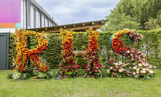 Chelsea Flower Show Flower RHS