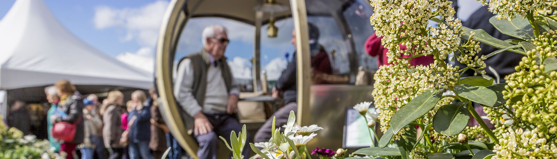 Harrogate Spring Flower Show 2026