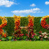 Ornate Garden RHS Chelsea Flower Show 2026
