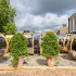 Ornate Garden RHS Chelsea Flower Show 2026