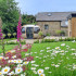 A Medium Ovalhouse in Full Bloom, Derbyshire