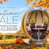 Rotating Lounger Garden Pod Autumn Sale Offer