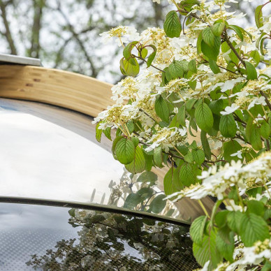 Ornate Garden RHS Chelsea Flower Show