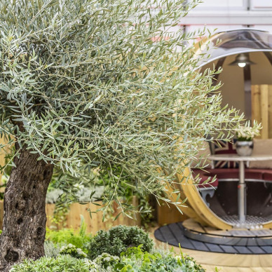 Ornate Garden Pods RHS Chelsea Flower Show 2021