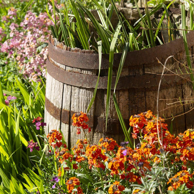 Ornate Garden RHS Malvern Spring Festival