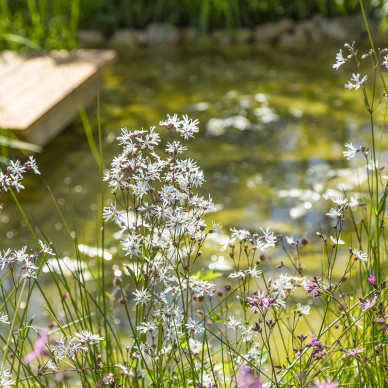 Ornate Garden RHS Malvern Spring Festival