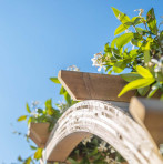Ornate Wooden Garden Arch