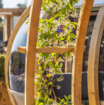 Ornate Wooden Garden Arch