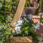 Ornate Wooden Garden Arch